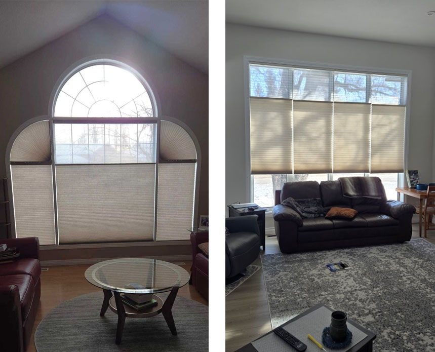 Interior Window Shades