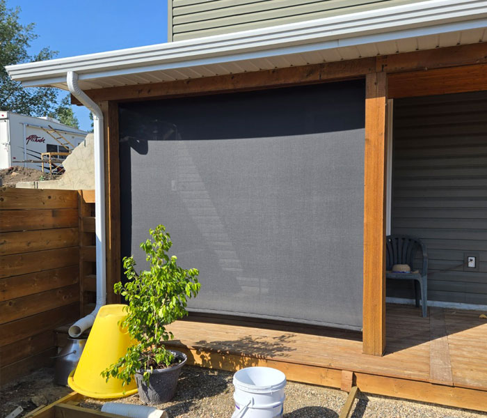 Roller and Screen Shades