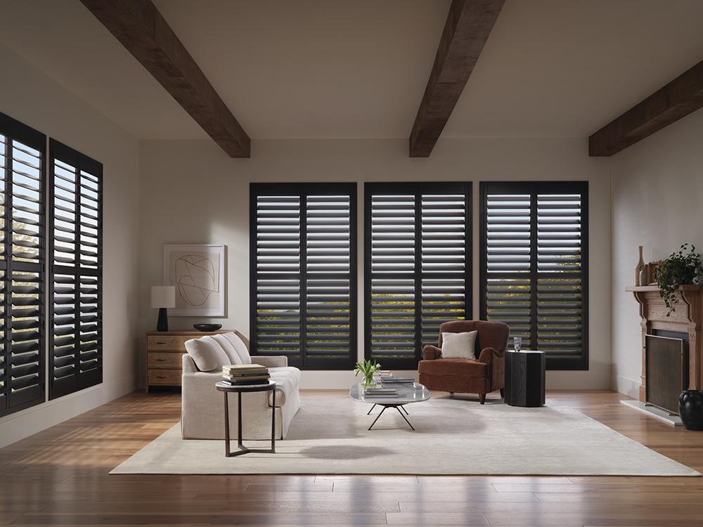 Professional Window Treatments